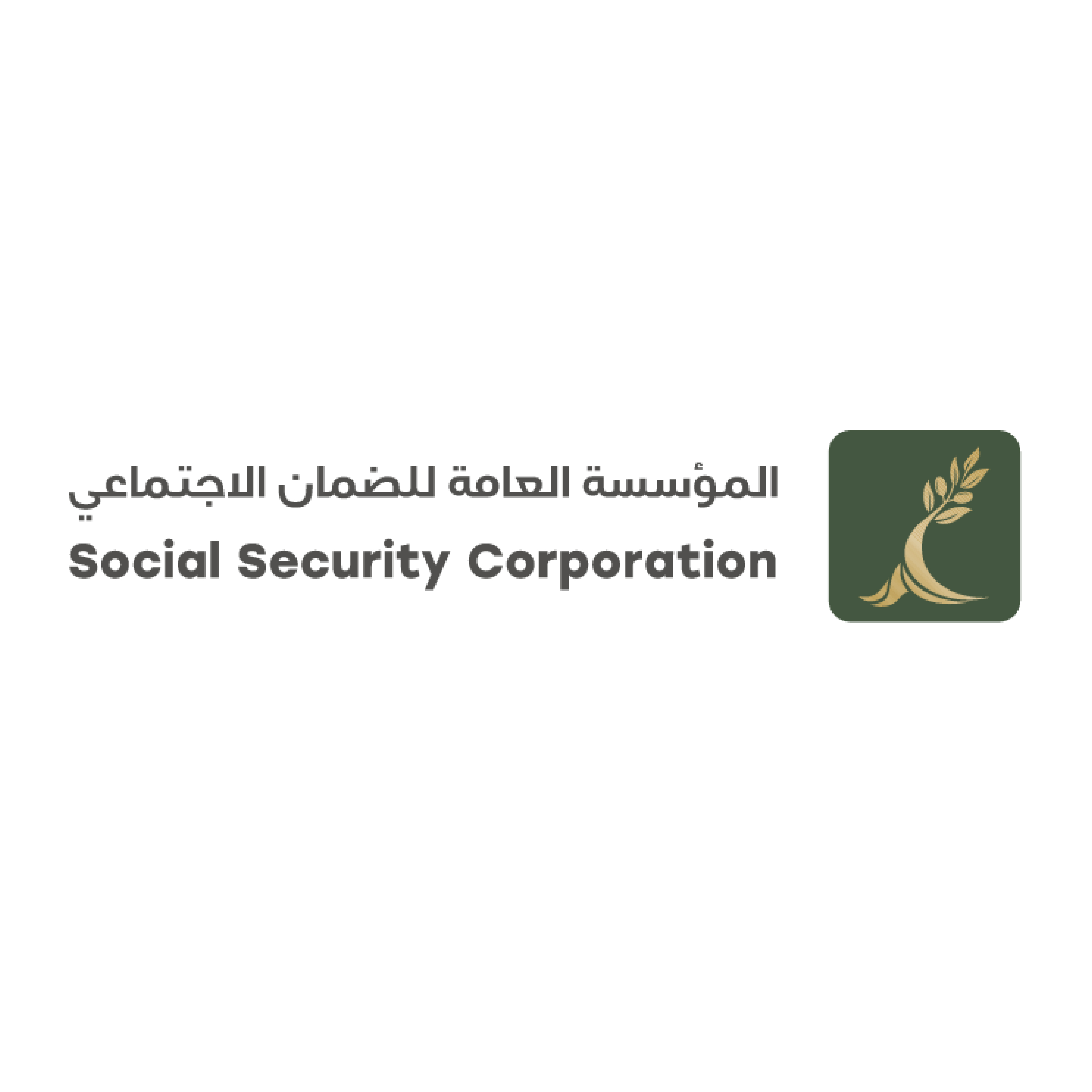 شركات التامين-29